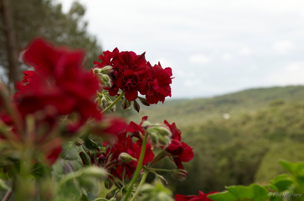 Spain 2008_0060.jpg